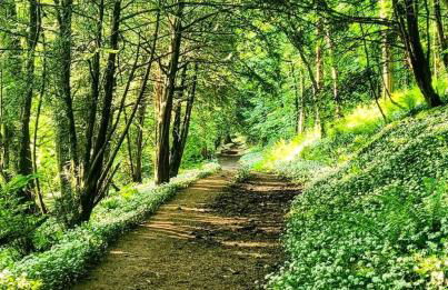 Cozy & Contemporary Lodge by the woods - Photo 9