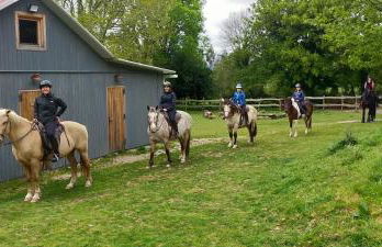 Granja Labrada: Alojamiento con caballos - Foto 58