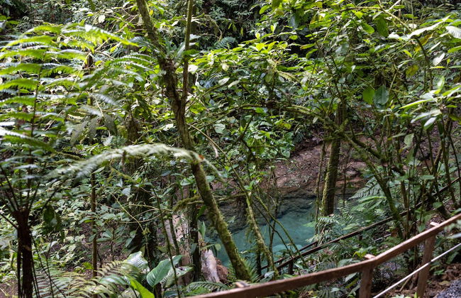 Cabañas Caeli Rainforest Glass Cabin El Congo La Fortuna - Foto 30