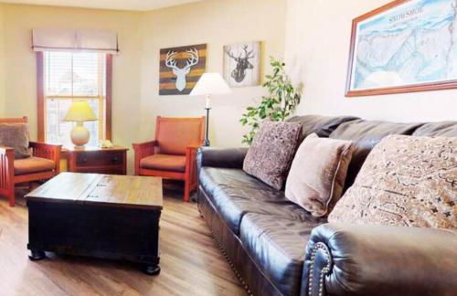 Lux Stay USA Ballhooter Twin Gables Ski-InOut Hot Tub - Foto 68