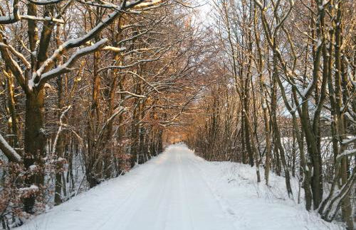 Haus Sonnenblume - Foto 34