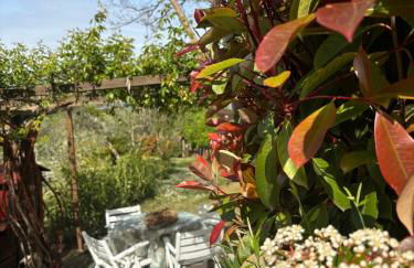 LA CAPANNA Casale in pietra con piscina - Foto 23