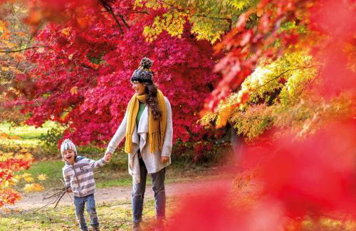 Historical cottage on private estate in Cotswolds - Foto 26