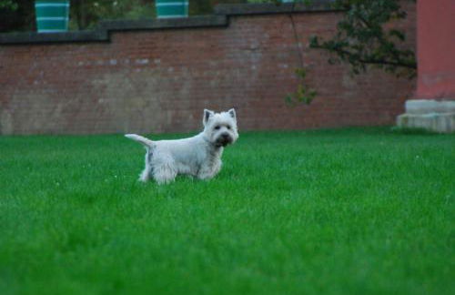 Ferienwohnungen Stricker - Foto 5