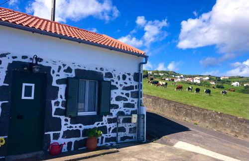 Paraiso da Pedreira - Photo 9