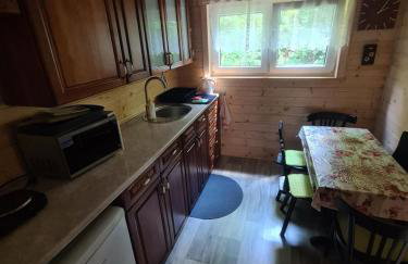 Duży drewniany domek nad rzeką, Obidza 381, Łącko - Foto 8