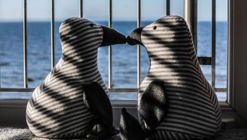 Ark at Anchor - Foto 5