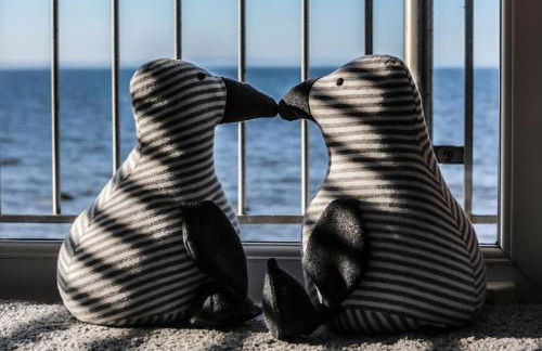 Ark at Anchor - Foto 5