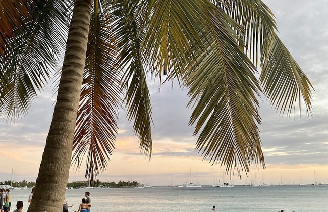 Bridget Place - Foto 24