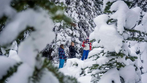 Paseo en helicóptero y raquetas de nieve por las Montañas Rocosas - Foto 2, Paseo con raquetas de nieve por las Montañas Rocosas