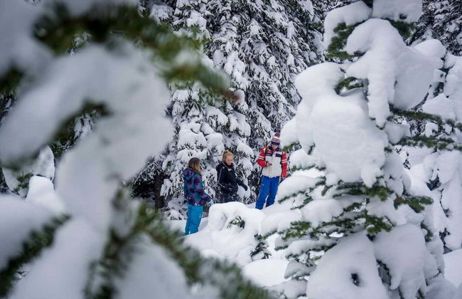 Paseo en helicóptero y raquetas de nieve por las Montañas Rocosas - Foto 2