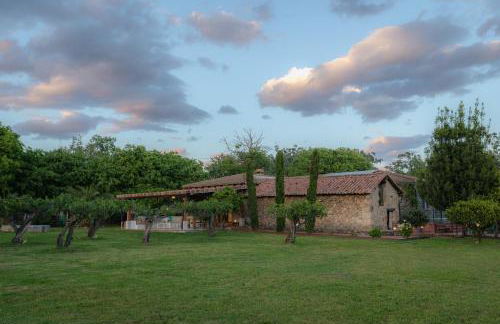 Finca Aprisco de Candeleda - Foto 45