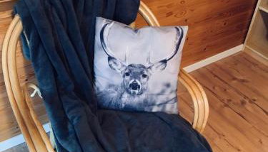 Wattenglück 3 - Foto 5