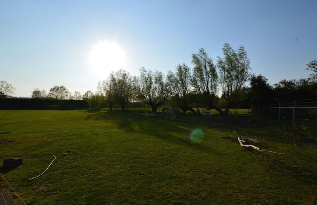 Gypsy Caravan in Weideblick With Farm Animals - Foto 48