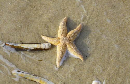 Ferienwohnung Kiekin - Foto 31