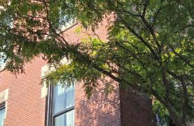 Extra-Large Downtown 5B2B Apt with Private Kitchen, Near Brown, Walk to Convention Center & PPAC - Foto 44