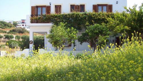 Benigna Studios - Foto 4