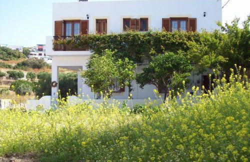 Benigna Studios - Foto 4