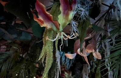 Spa-Sauna-Ciel de pluie tropicale-Champagne Nuit Romantique - Escapade Mâconnaise - Foto 11