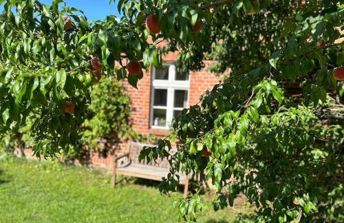 Auszeit auf dem Land im Forsthaus Hohe Heide - Foto 27