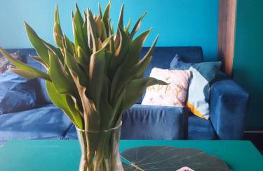 Lawendowo- sauna, jacuzzi, domki w ogrodzie i apartamenty w kamienicy - Photo 30