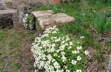 Gîte le lénio - Foto 19