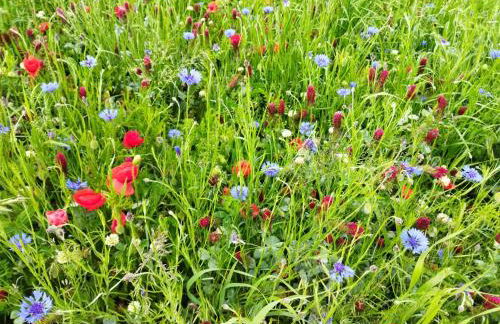 Le Chapitre - Foto 31