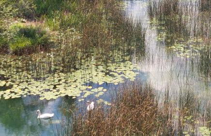 Kuća za odmor ,Erdelj 21 B - Foto 51