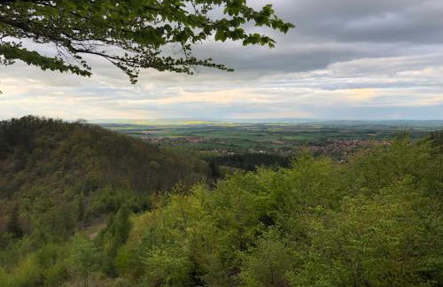 Ferienhaus Heider - Foto 17