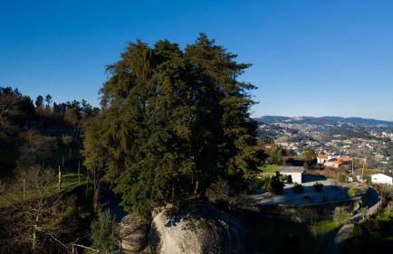 Quinta do Mirante - Foto 61