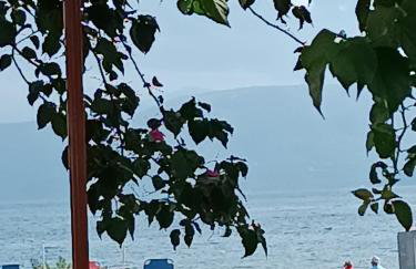 Sofia Beach Apartments - Foto 59