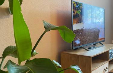 S-VILLA Apartments im Schwarzwald - Foto 25