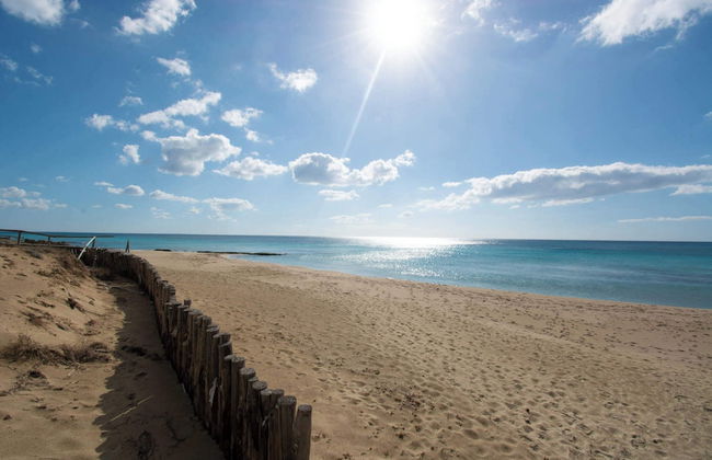 Le Bianche Apt. 3 -Terrace- Near The Sea - Foto 18