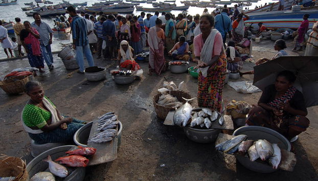 Visite du village de pêcheurs de Vizhinjam - Photo 4