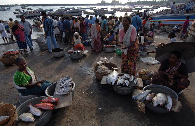 Visit to Fishermen Village at Vizhinjam - Photo 4