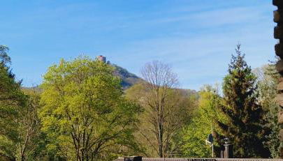 Ferienwohnung am Panoramaweg - Foto 5, Garden