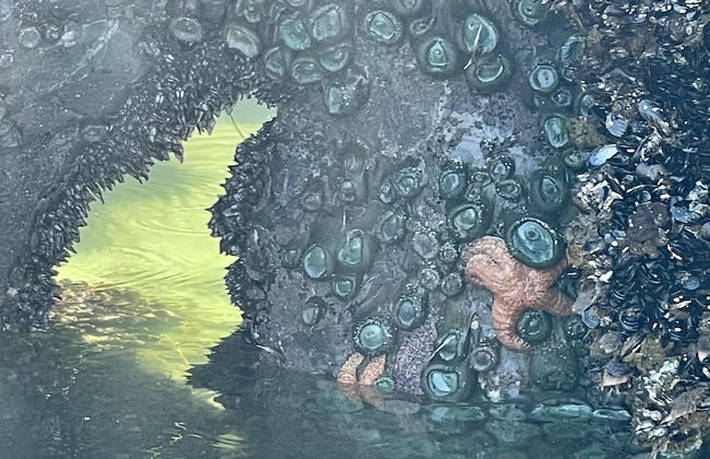 Love Shack - Photo 17