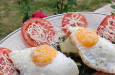 Apartments in the Istrian village - Foto 22