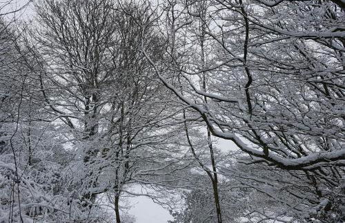 Character 2 double bedroom cottage in Shaftesbury - Foto 48