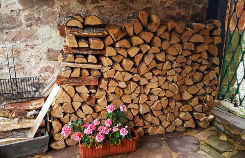 La Casa de Salinas - Foto 24