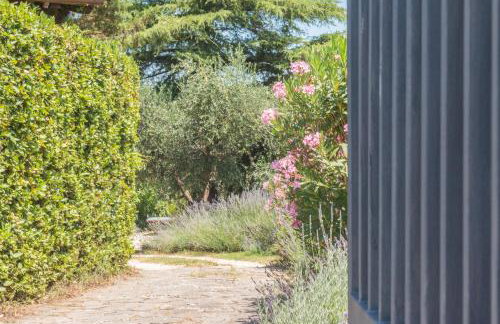 Casaletto Del Pellegrino - Foto 2