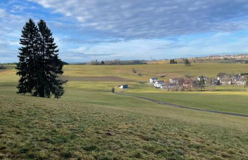 GreenHolidays - Foto 7