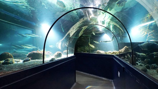 2 Person Holiday Home in Lysekil - Foto 4, Diversos