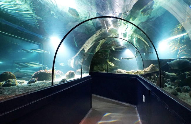 2 Person Holiday Home in Lysekil - Foto 4