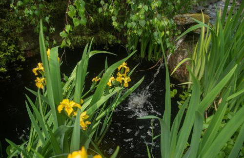 Holiday Home Villa Bieszkowice by Interhome - Foto 31