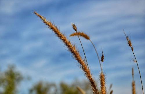 Los Chozones - Foto 57