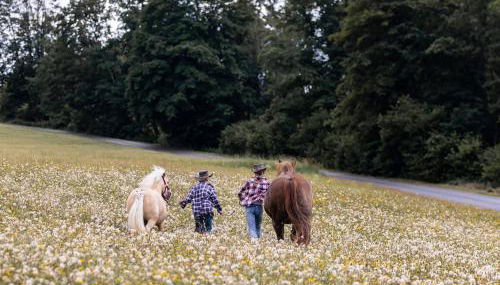 Ferienhof Jakob Rohrhof - Foto 3