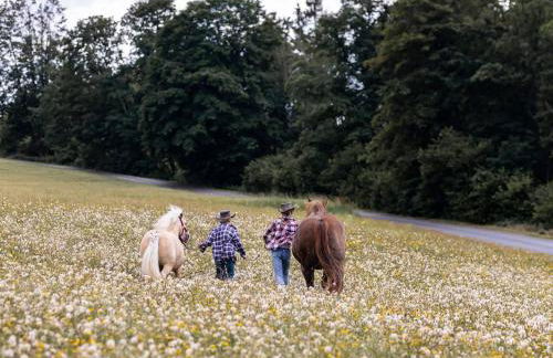 Ferienhof Jakob Rohrhof - Foto 3