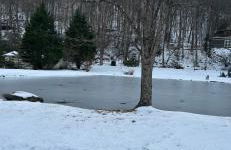 Twin Ponds Retreat-pond Hot Tub Fire Pit Game Room Pet Friendly - Foto 25