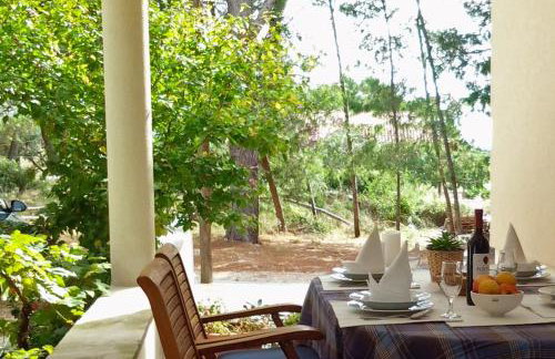 Apartments by the sea Verunic, Dugi otok - 8103 - Foto 22